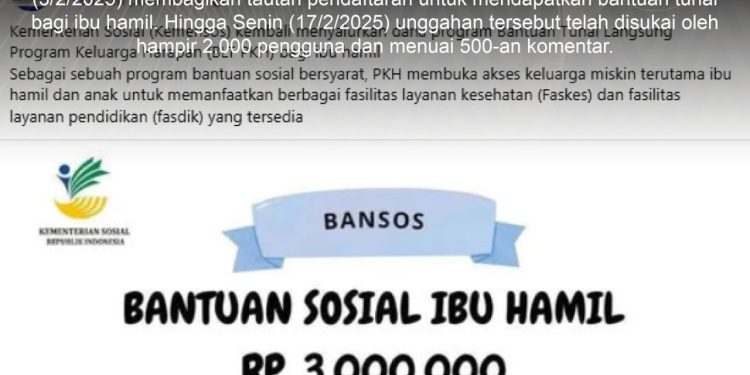 [PENIPUAN] TAUTAN PENDAFTARAN BANTUAN KHUSUS TUNAI IBU HAMIL 2025