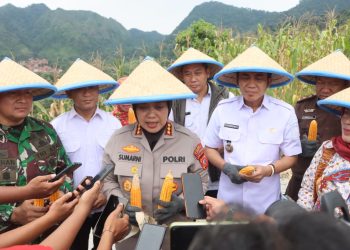 Polresta Cirebon Panen Raya Jagung: Kolaborasi untuk Ketahanan Pangan Nasional