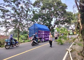 Pohon Tumbang di Jalan Raya Kuningan-Cirebon, Polisi dan Warga Bersinergi Evakuasi Ranting