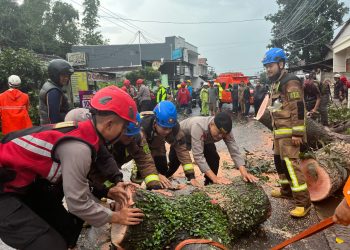 Kerja Sama Apik! Polres Garut dan BPBD Garut Atasi Pohon Tumbang di Tarogong Kidul