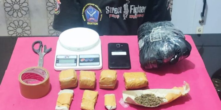 Polres Sukabumi Kota Ungkap Peredaran Ganja 1,52 Kg, Dua Pelaku Ditangkap