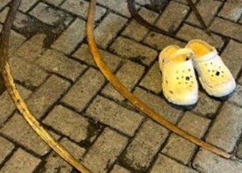 Polisi Gagalkan Tawuran Remaja di Bogor Selatan, Amankan Senjata Tajam