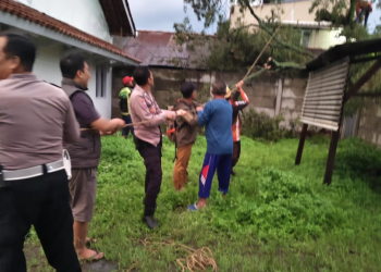 Pohon Tumbang Timpa Gudang Kayu di Rancaekek: Polsek Rancaekek Sigap Tangani, Jaga Keamanan dan Bantu Warga