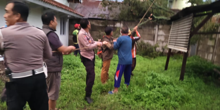 Pohon Tumbang Timpa Gudang Kayu di Rancaekek: Polsek Rancaekek Sigap Tangani, Jaga Keamanan dan Bantu Warga