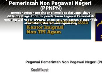 KLARIFIKASI HOAX – FABRICATED CONTENT [PENIPUAN] Tautan Loker Pegawai Pemerintah Non Pegawai Negeri (PPNPN)