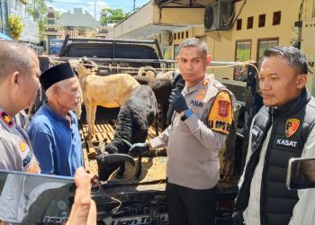 Polres Ciamis Tangkap Pencuri Domba, Keluarga Korban Apresiasi Kecepatan dan Kinerja Polisi