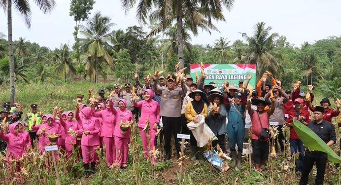 Polri Sukses Panen Raya Jagung di Tasikmalaya, Dukung Swasembada Pangan