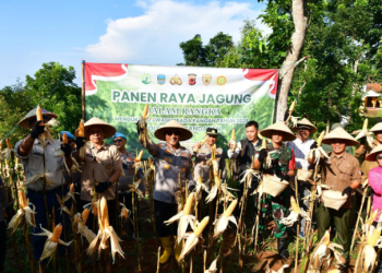 Polres Pangandaran Gelar Panen Raya Jagung, Wujud Dukungan Nyata Terhadap Swasembada Pangan Nasional