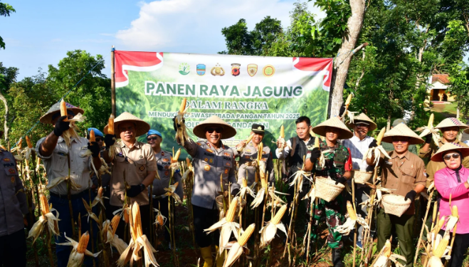 Polres Pangandaran Gelar Panen Raya Jagung, Wujud Dukungan Nyata Terhadap Swasembada Pangan Nasional