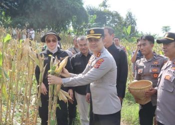 Polres Garut Gelar Panen Raya Jagung, Wujud Sinergi Ketahanan Pangan