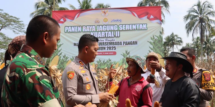 Kapolres Bogor Hadiri Panen Raya Jagung, Tunjukkan Sinergi Jaga Ketahanan Pangan