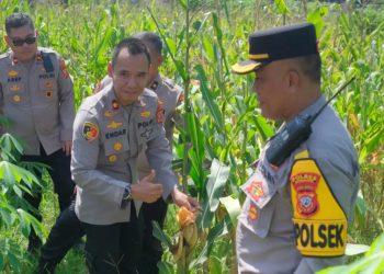 Polres Subang Siap Dukung Panen Raya Jagung Serentak