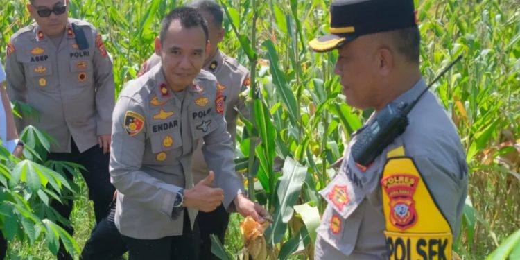 Polres Subang Siap Dukung Panen Raya Jagung Serentak