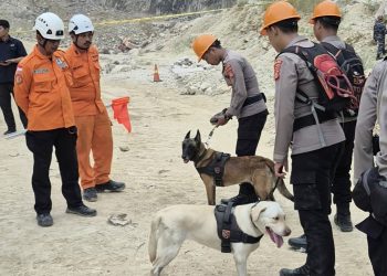 Tim K-9 Polda Jabar Bantu Pencarian Korban Longsor Gunung Kuda Cirebon