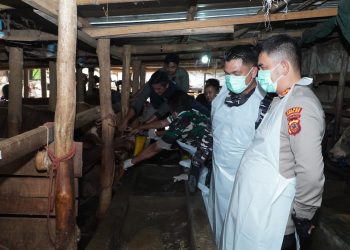Forkopimda Kota Cirebon Pastikan Kesehatan Hewan Kurban Jelang Idul Adha