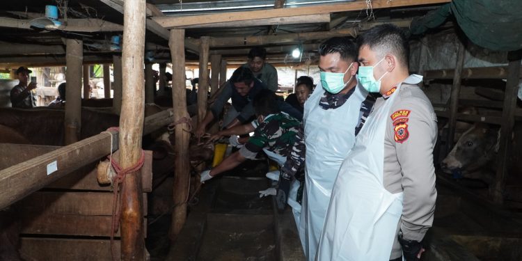 Forkopimda Kota Cirebon Pastikan Kesehatan Hewan Kurban Jelang Idul Adha