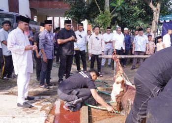 Polda Jabar Qurban 77 Sapi dan 35 Kambing, Bagikan Daging Kurban untuk Masyarakat
