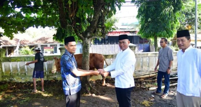 Kapolres Pangandaran Pimpin Penyembelihan 4 Sapi dan 25 Kambing, Bagikan Daging Kurban untuk Masyarakat