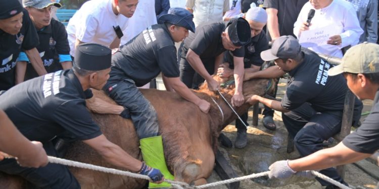 Kapolda Jabar Bertindak Sebagai Al Udhhiyyah dalam Penyembelihan Hewan Kurban