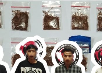 Geng Muda Produksi Tembakau Sintetis via Medsos Dibongkar Polres Subang