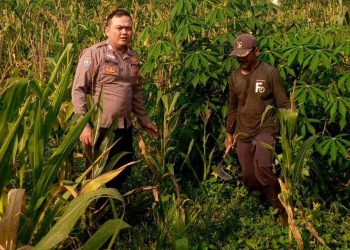 Polres Garut Pantau Ketahanan Pangan di Desa Giri Jaya