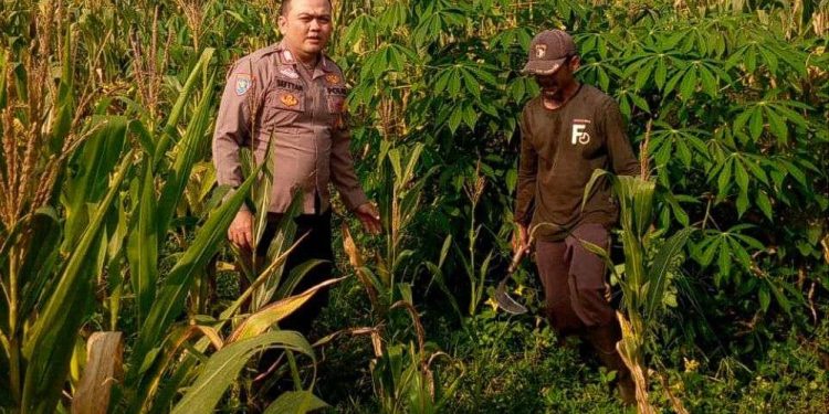 Polres Garut Pantau Ketahanan Pangan di Desa Giri Jaya