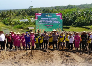 Tasikmalaya Sukses Gelar Penanaman Jagung Serentak, Wujudkan Swasembada Pangan 2025