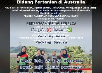 [PENIPUAN] Tautan Pendaftaran Loker Bidang Pertanian di Australia
