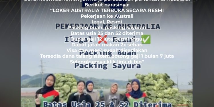 [PENIPUAN] Tautan Pendaftaran Loker Bidang Pertanian di Australia