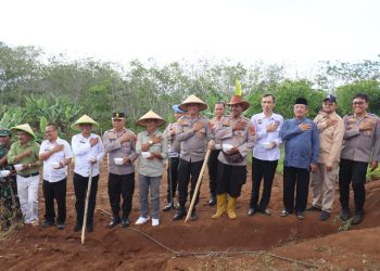 Polres Ciamis Tanam Harapan: Penanaman Jagung Serentak di Pamarican Wujudkan Ketahanan Pangan