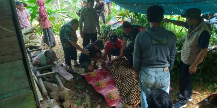 Petani Gula Aren Tewas Jatuh dari Pohon, Polisi Segera Lakukan Evakuasi