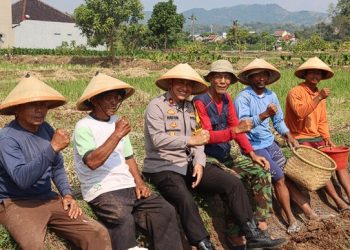 Perkuat Ketahanan Pangan, Polres Majalengka Bersinergi Tanam Jagung Bersama Petani