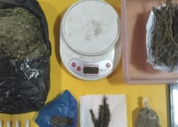 Polres Subang Tangkap Seorang Pria di Kasomalang, Paket Ganja 316,8 Gram Siap Edar Berhasil Disita