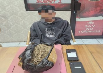 Kapolres Indramayu Pantau Langsung Pengamanan Karnaval SCTV, Pastikan Keamanan Ribuan Penonton