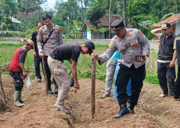 Polres Garut Tanam Jagung Serentak, Dukung Swasembada Pangan Nasional