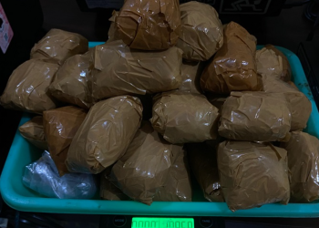 Polresta Cirebon Amankan 1,7 Kg Ganja, Empat Pengedar Diringkus