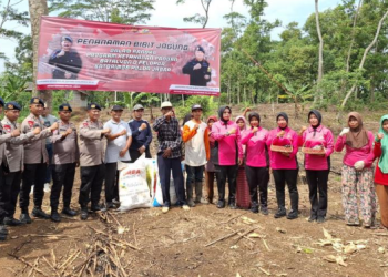 Brimob Polda Jabar Tanam Jagung di Tasikmalaya, Dukung Ketahanan Pangan Nasional