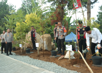 Kapolda Jabar dan Pejabat Lainnya Tanam Bibit Pohon Damar di Kuningan, Wujudkan Komitmen Penghijauan