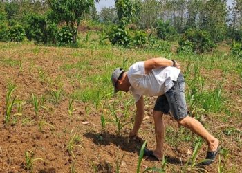 Gandeng Kelompok Tani, Polres Indramayu Manfaatkan Lahan Tidur untuk Ketahanan Pangan Nasional