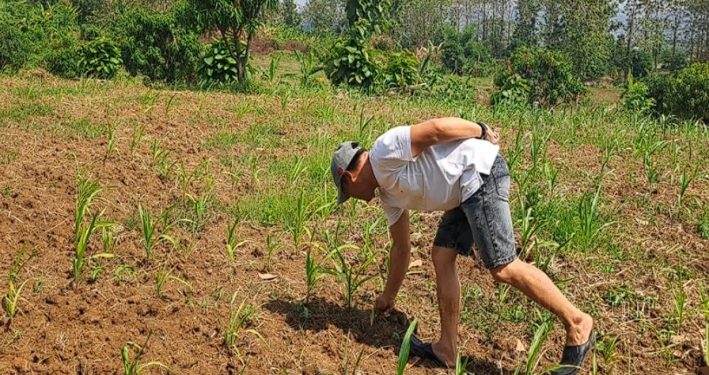 Gandeng Kelompok Tani, Polres Indramayu Manfaatkan Lahan Tidur untuk Ketahanan Pangan Nasional