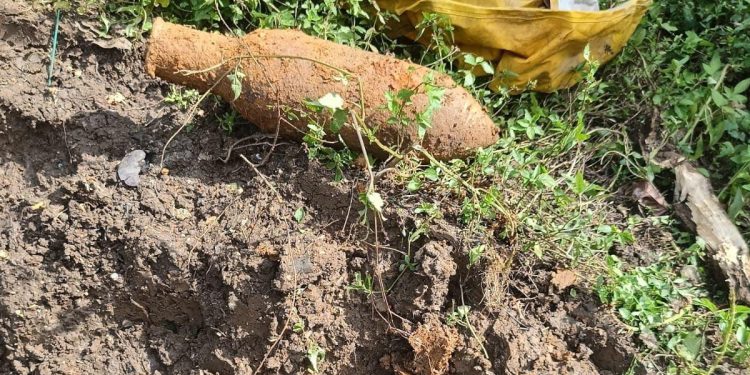 Petugas Gabungan Evakuasi Mortir Dari Lahan Warga Di Garut