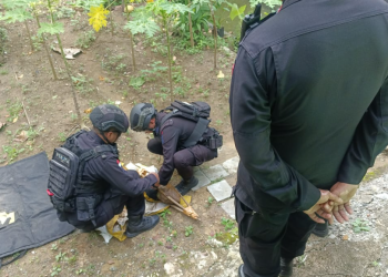 Warga Garut Temukan Mortir Aktif Saat Gali Tanah, Tim Jibom Brimob Polda Jabar Lakukan Pemusnahan