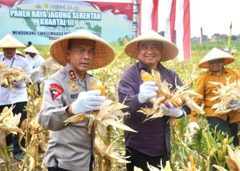 Polda Jabar Sukses Gelar Panen Raya Jagung, Bukti Nyata Dukung Swasembada Pangan Nasional 2025