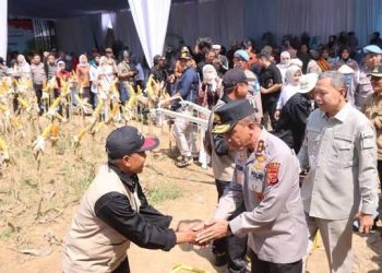 Kapolda Jabar Dukung Gerakan 1 Juta Hektare Jagung di Indramayu