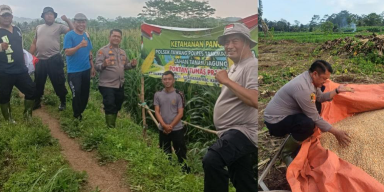Polsek Tawang Dampingi Petani, Wujudkan Ketahanan Pangan di Kota Tasikmalaya