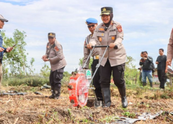 Polresta Cirebon Dukung Swasembada Pangan, Tanam Jagung Pipil di Lahan 2,5 Hektare