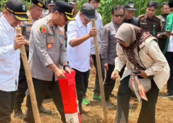 Polres Banjar Bersama Forkopimda Gelar Penanaman Jagung Serentak, Dukung Swasembada Pangan Nasional dan Berdayakan Lahan Tidur