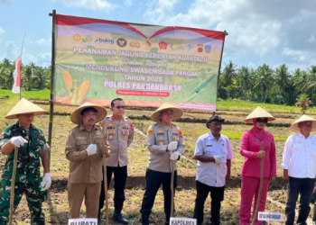 Polres Pangandaran Gelorakan Semangat Swasembada Pangan, Pimpin Penanaman Jagung Serentak dan Dapatkan Dukungan Penuh dari Forkopimda