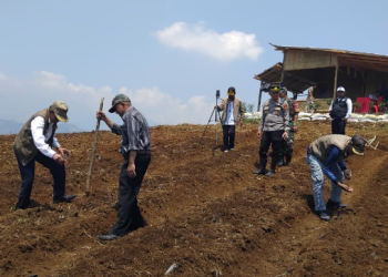 Dukung Ketahanan Pangan Nasional, Polres Cianjur Tanam Bibit Jagung Hibrida