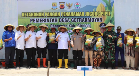 Perkuat Ketahanan Pangan, Polresta dan Pemkab Cirebon Kompak Tanam Jagung Pipil di Desa Getrakmoyan